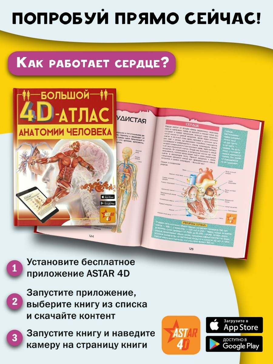 Большой 4D-атлас анатомии человека - фото №15