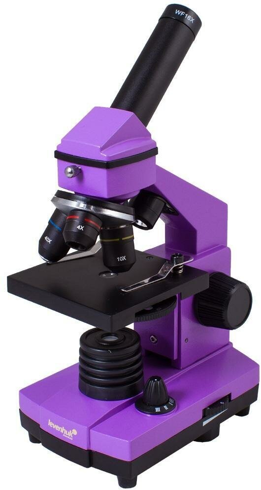 Микроскоп Levenhuk Rainbow 2L PLUS Amethyst/Аметист