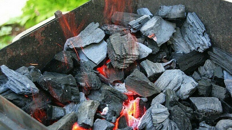 Уголь березовый древесный 5 кг, ресторанный, Русс лес, 30 литров - фотография № 3