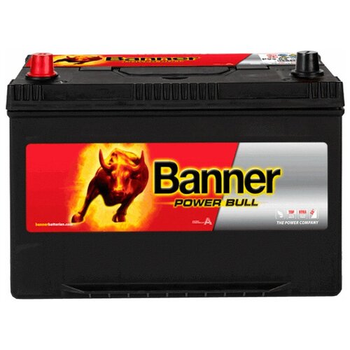 Аккумулятор Banner Power Bull P95 05