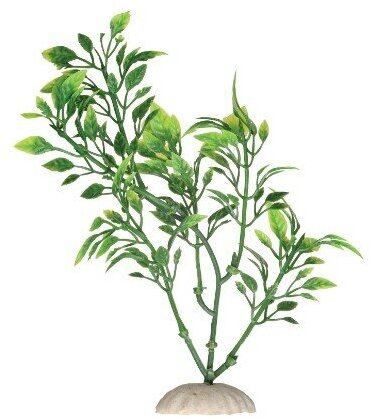 Растение Ротала зелёная пластик 34см