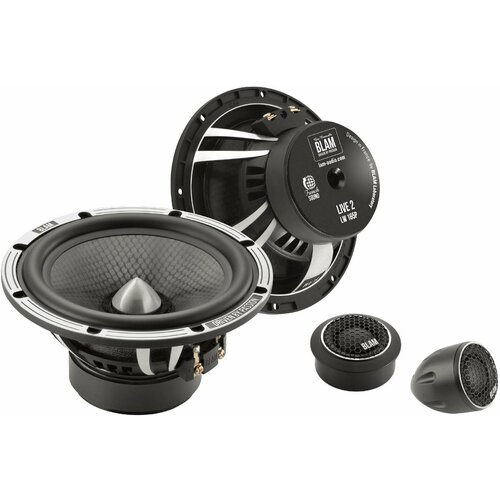 Динамики Morel MT-120 1090000₽