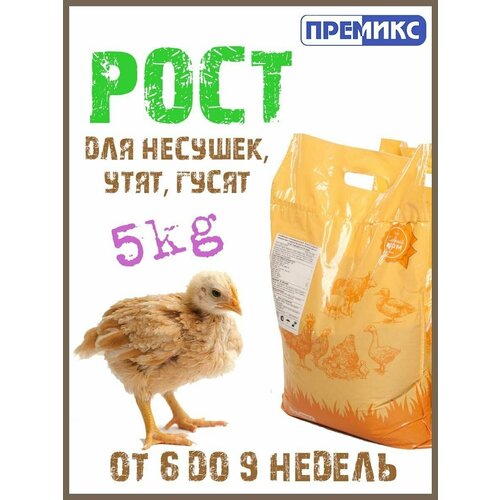 Комбикорм для несушек Рост 5кг. комбикорм стартер для бройлеров purina x pro 5кг