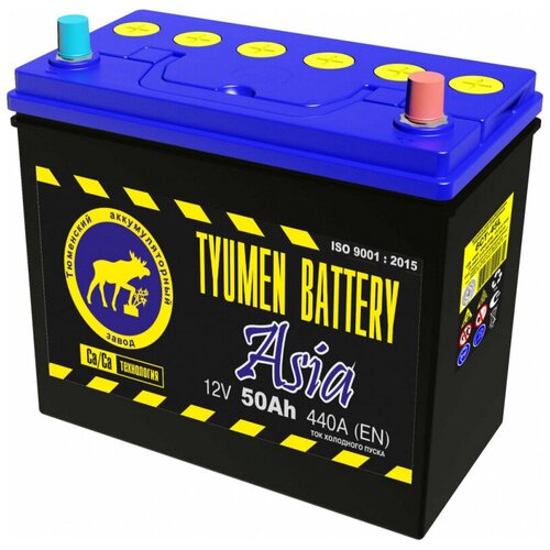 Аккумулятор автомобильный TYUMEN BATTERY ASIA 50 А/ч 440 A обр. пол. Азия авто (236x128x223)