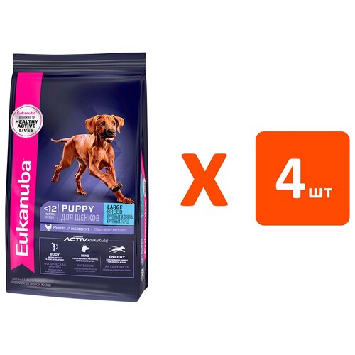 EUKANUBA PUPPY & JUNIOR LARGE BREED для щенков крупных пород (3 кг х 4 шт)