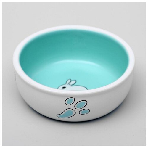 Миска керамическая для кроликов 200 мл 10 х 37 см бело-зеленая 473₽