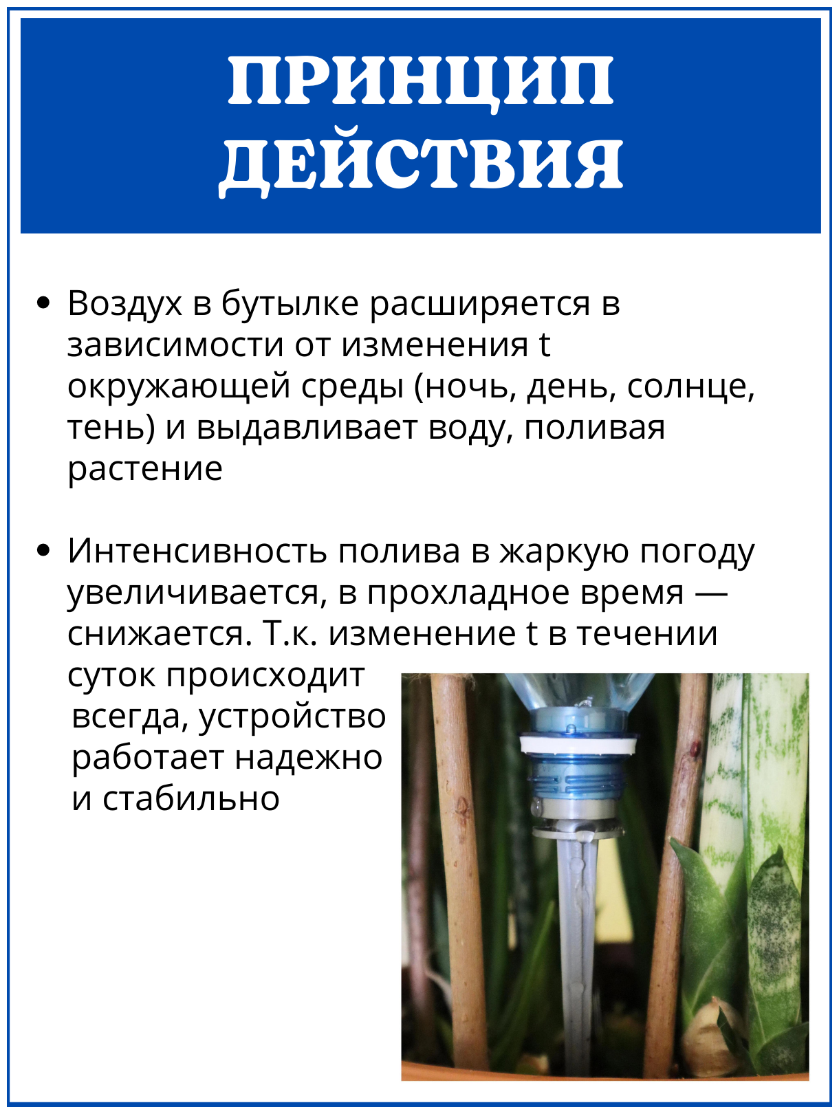 Благодатное земледелие Автополив для комнатных растений, насадка на бутылку Капель, 4 шт - фотография № 3