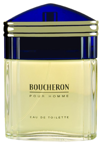 Туалетная вода Boucheron мужская Boucheron Pour Homme 100 мл