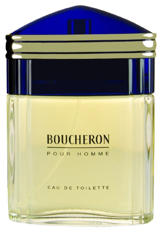 Boucheron Мужской Boucheron Pour Homme Туалетная вода (edt) 100мл