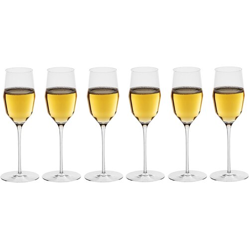 6 бокалов для шампанского MarkThomas Double Bend Champagne 240 мл (арт. 2140/6)