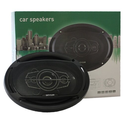 Автомобильная акустика Skylor BS-6904 черный 319000₽