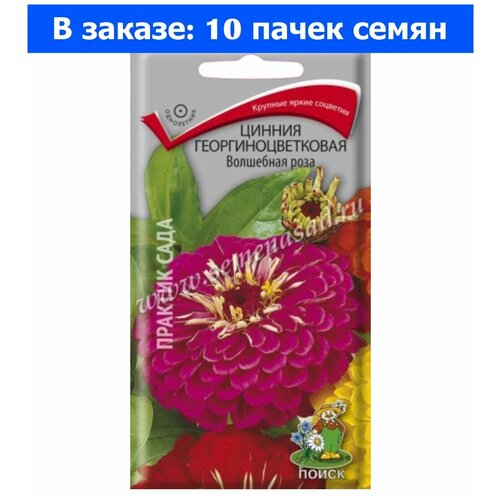 Цинния Волшебная роза георгиноцветковая 0,4г Одн 90см (Поиск) - 10 ед. товара роза голдэльзе на штамбе 90см