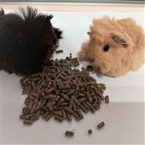 Корм для морских свинок, грызунов, кроликов беззерновой тм. Istra Horse Food ВТМ Разнотравье c яблоком и свеклой , 700гр.