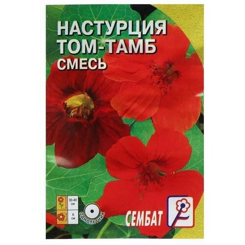 Семена цветов Настурция Том-Тамб, смесь 0,5 г 20 упаковок семена цветов настурция краса ампельная смесь 1 5 г 12 упаковок