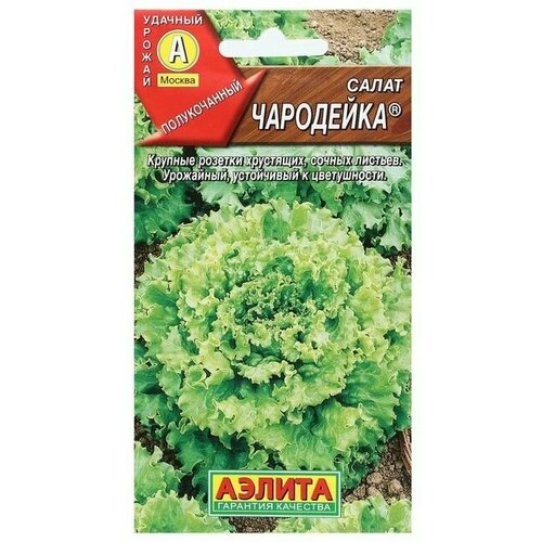 Семена Салат Чародейка 0,5 г 12 упаковок семена салат беата 0 5 г 15 упаковок