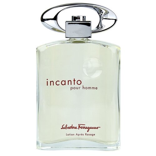 Salvatore Ferragamo Incanto Pour Homme туалетная вода 30 мл для мужчин