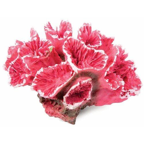 Коралл искусственный Кауластрея, розовая, 70x50x45мм Laguna AQUA 74004237