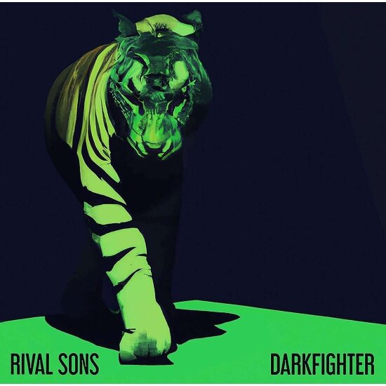 Виниловая пластинка Warner Music RIVAL SONS - Darkfighter