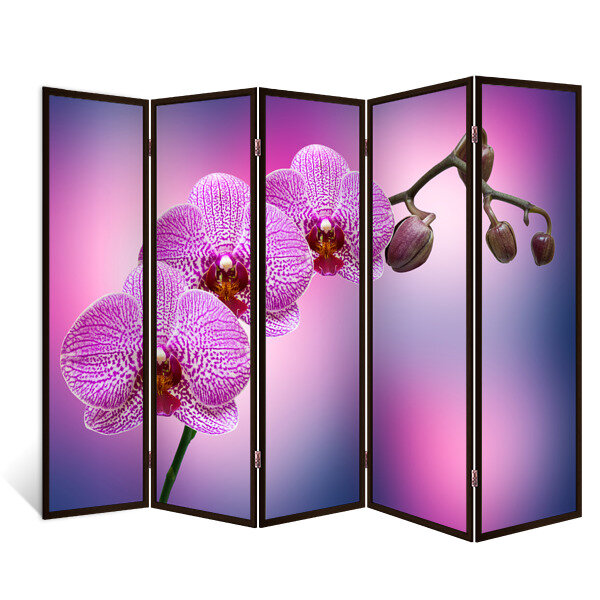 Ширма перегородка Трио орхидей 5 створок венге 176х230 см