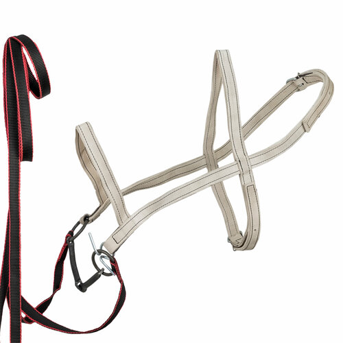Узда для лошади сыромятная двойная 25 мм / REITER