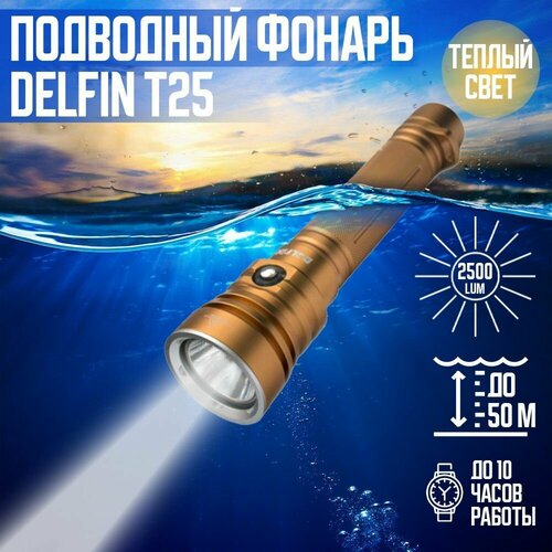 delfin Фонарь подводный DELFiN T25, 2500 Лм