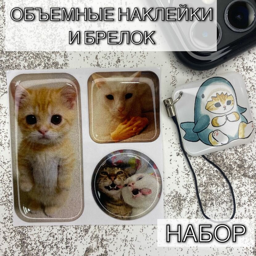 Набор Животные / Кот / Котики