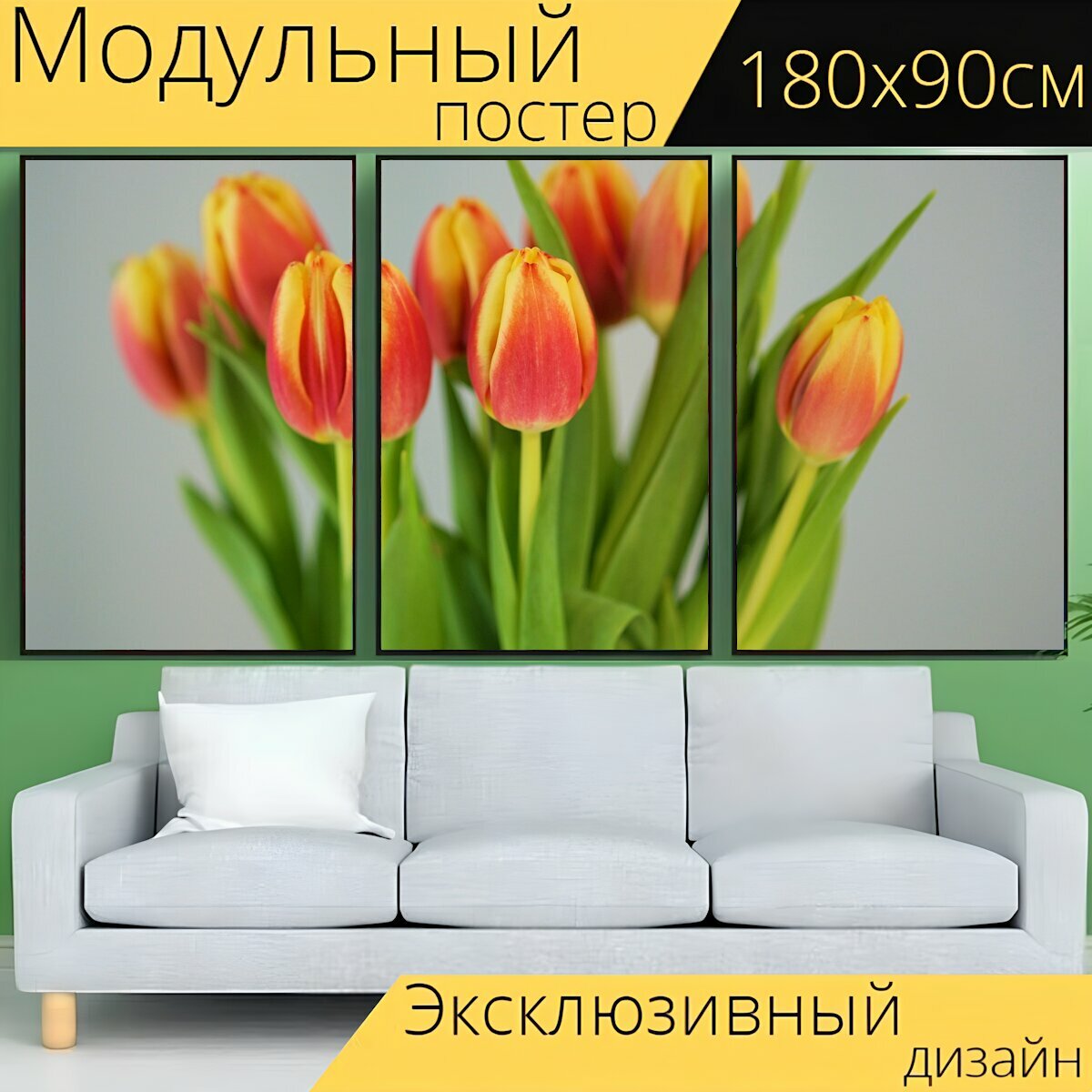 Модульный постер "Цветы, тюльпаны, бутоны" 180 x 90 см. для интерьера