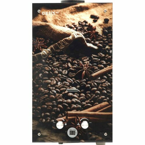 Газовый проточный водонагреватель OASIS Eco К-20 991000₽