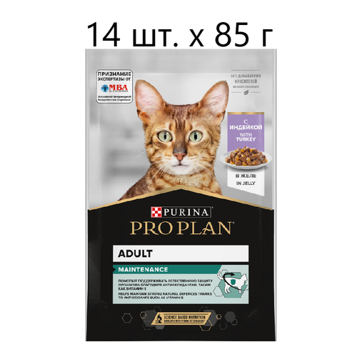 Влажный корм для кошек Purina Pro Plan Adult Maintenance with Turkey, для взрослых, индейка, 14 шт. х 85 г (кусочки в желе)