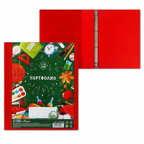 Папка-портфолио А4 Переменка пластиковая на 4 кольцах для школьника без вкладышей 814₽