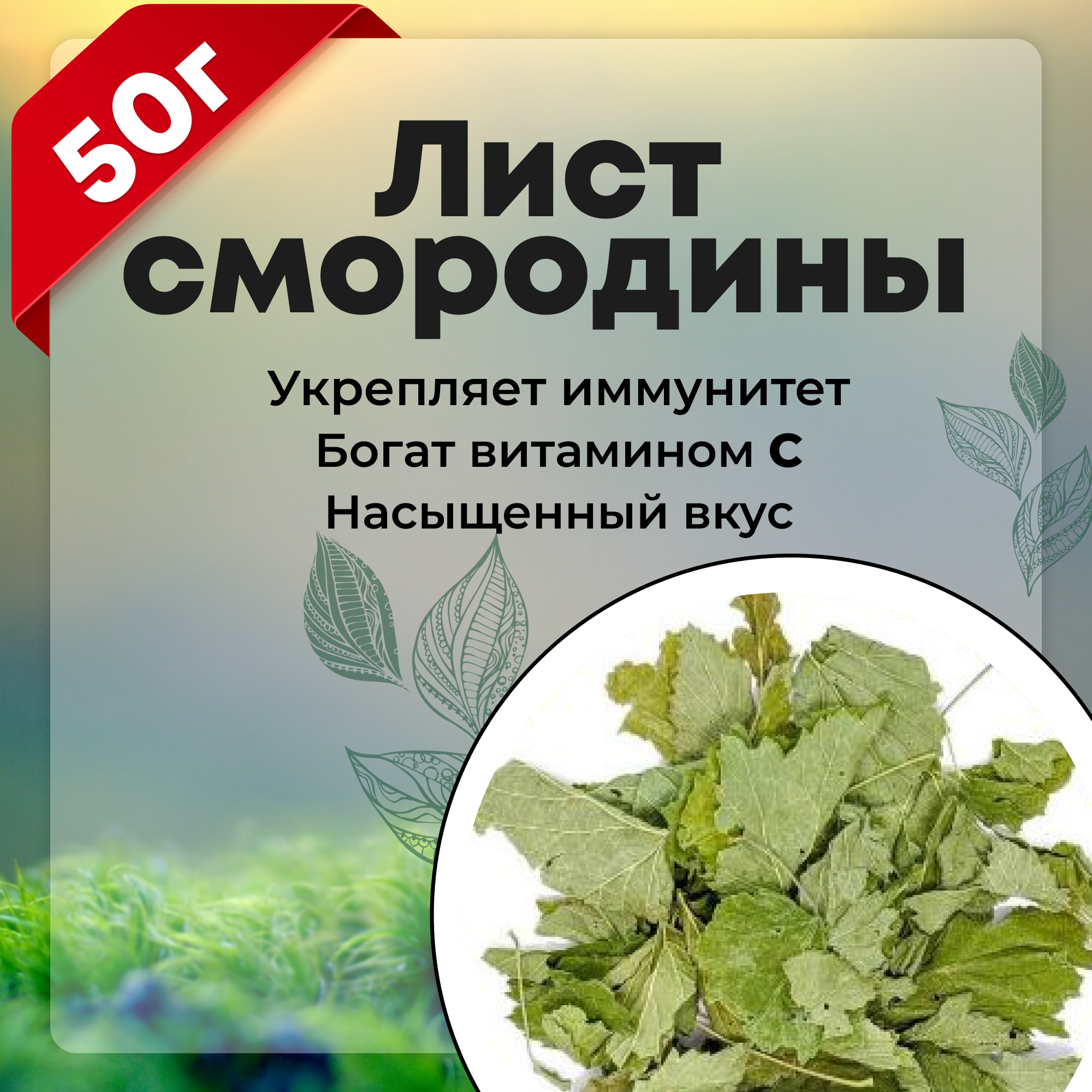 Листья смородины, натуральный сушеный лист черной смородины, 50 г