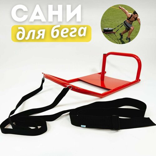 Сани для бега (груз-сани)