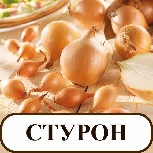 Лук-севок Стурон (Чувашия) 0.3 кг