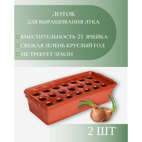 Лоток для выращивания лука, 21 ячейка