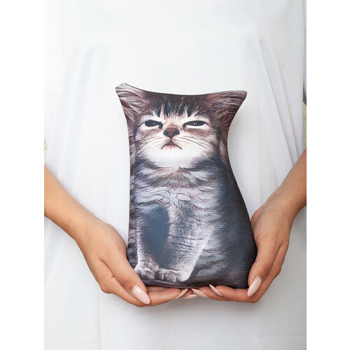 фото Мягкая антистресс мини игрушка-подушка кот мем осуждающий котенок нескучные вещи