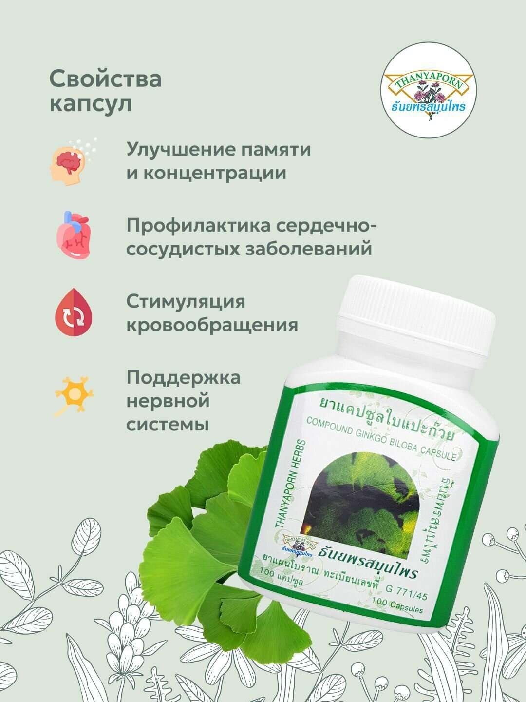 Изображение Капсулы экстракт гинкги билоба Compound Ginkgo Biloba capsule 100% Thanyaporn Herbs для улучшения памяти, 100 шт.