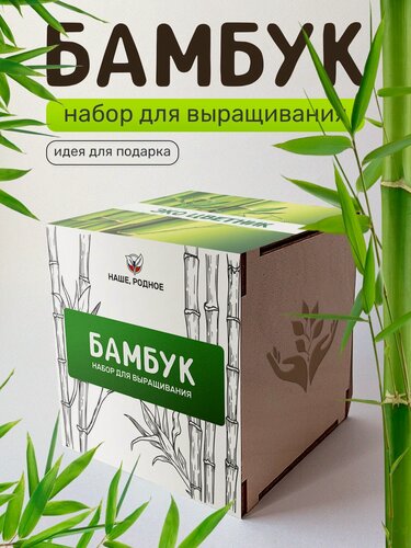 Изображение товара Набор для выращивания растений Сад на окне "Бамбук", в деревянном горшочке