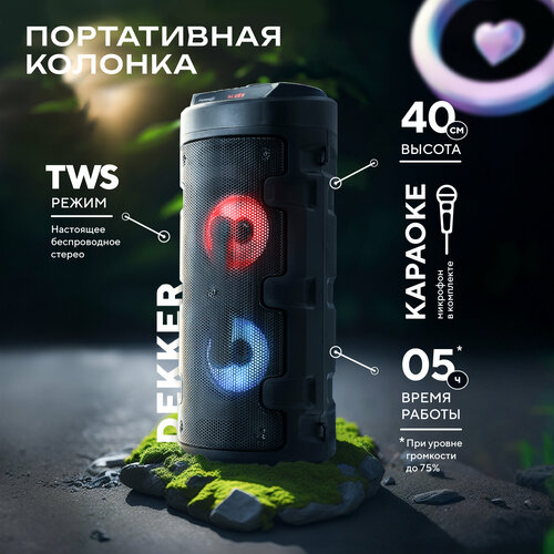 Портативная колонка FUMIKO DEKKER с подсветкой и микрофоном 323000₽