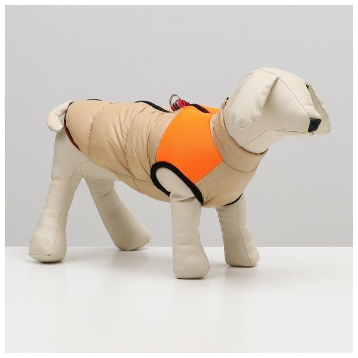 Куртка для собак на молнии, размер 18 (ДС 40 см, ОГ 50 см, ОШ 38 см), бежевая с оранжевым - фотография № 3