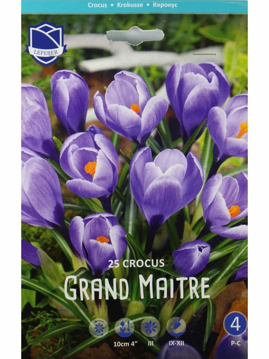 Крокус Гранд Матр(Grand Maitre), 25 шт - фотография № 1