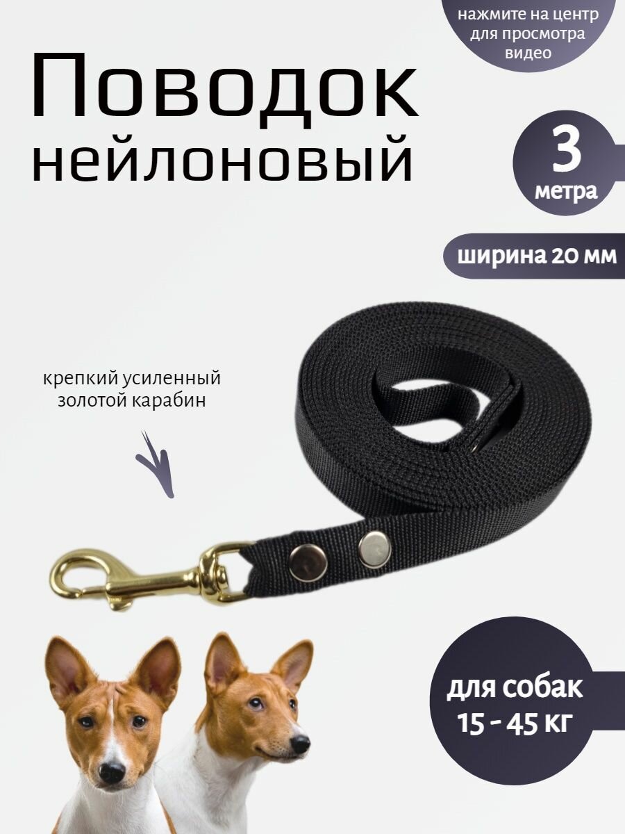 Поводок для собак с золотым карабином нейлон 3 м х 20 мм
