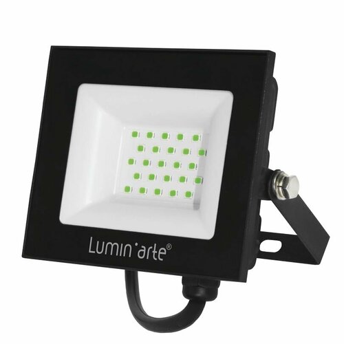 Прожектор уличный 30Вт Зеленый цвет свечения LFL-30W07 IP65 садовый Luminarte Подсветка для деревьев и газонов 953₽