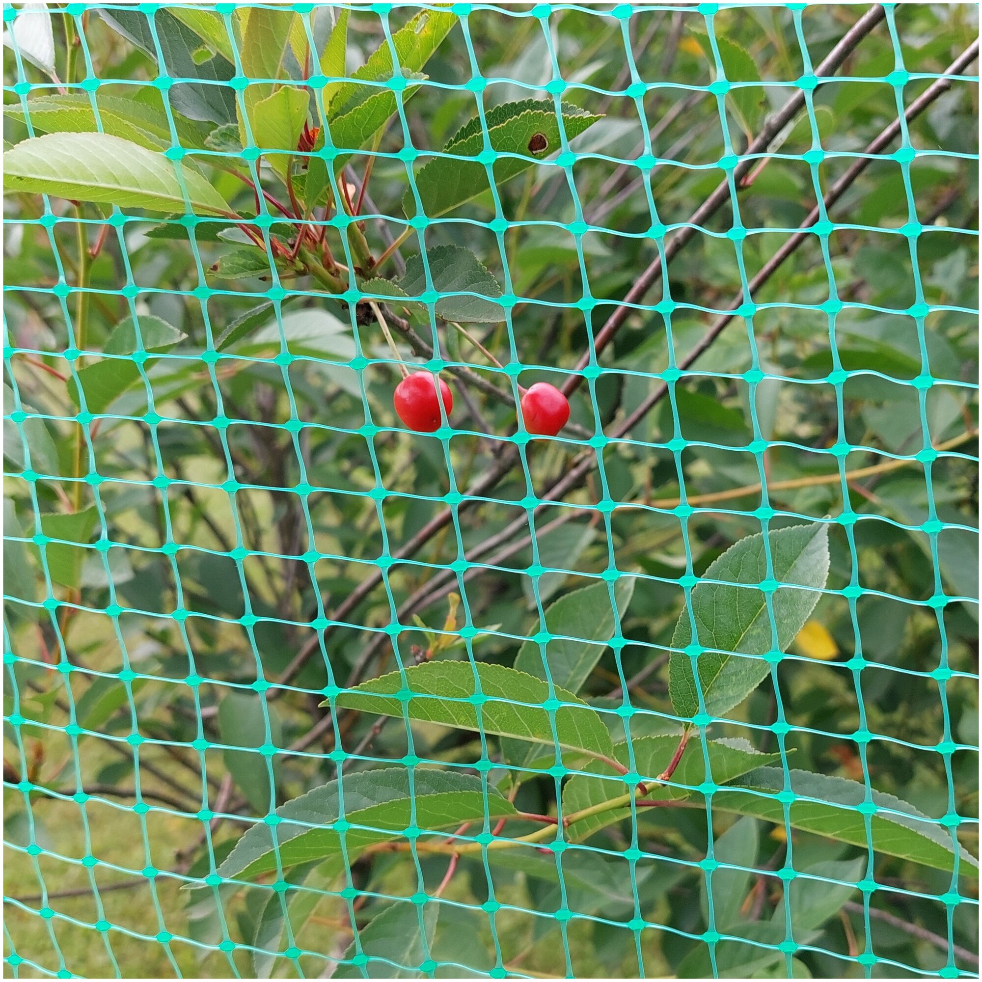 Сетка садовая с квадратной ячейкой 13х15 мм  сетка от птиц размером 2х5м зеленая