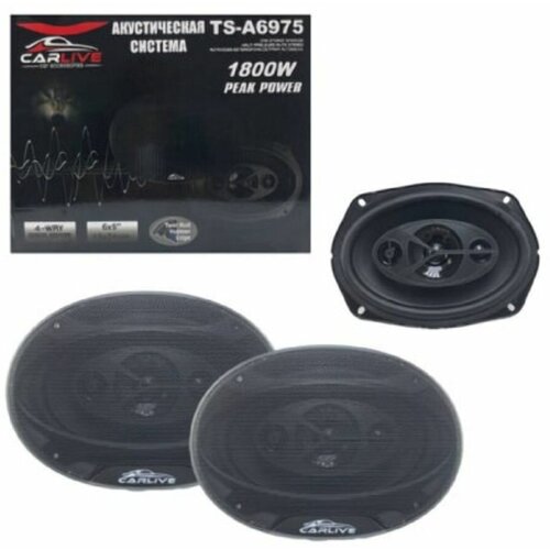 Акустическая система автомобильная Carlive TS-A6975 400500₽