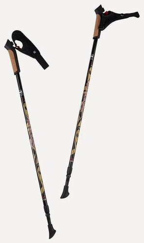 Изображение товара Палки 2-секционные телескопические карбоновые для скандинавской ходьбы Finpole Nova 30% Carbon