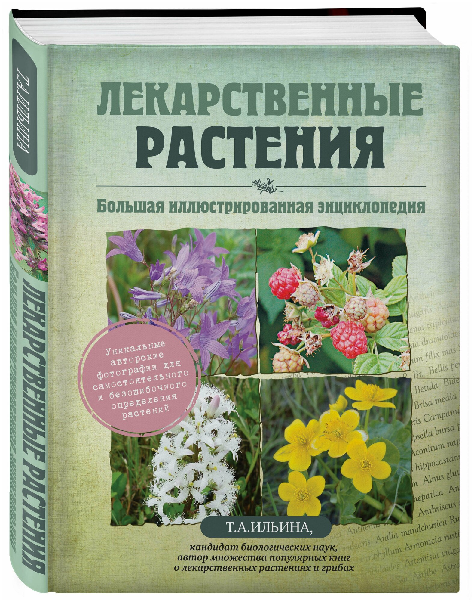 Лекарственные растения. Большая иллюстрированная энциклопедия - фото №2