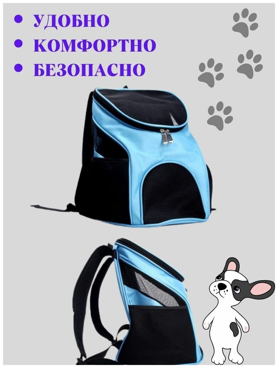 Переноска рюкзак для кошек и собак малых пород, размер S, переноска для животных - фотография № 4