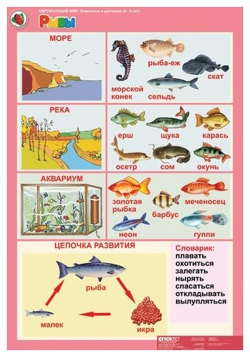 Обитатели рек и озер для детей картинки - галерея DrawStudio.ru