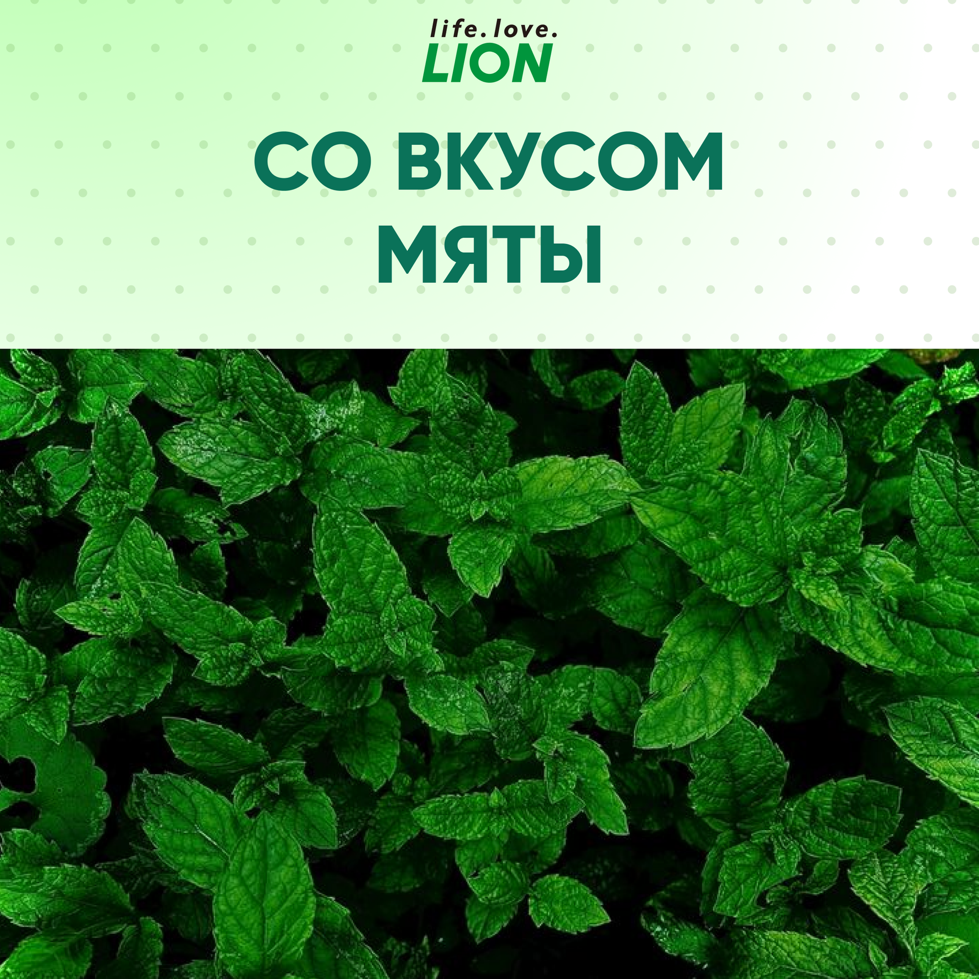 Паста зубная LION SYSTEMA Total care (green mint) 120 г