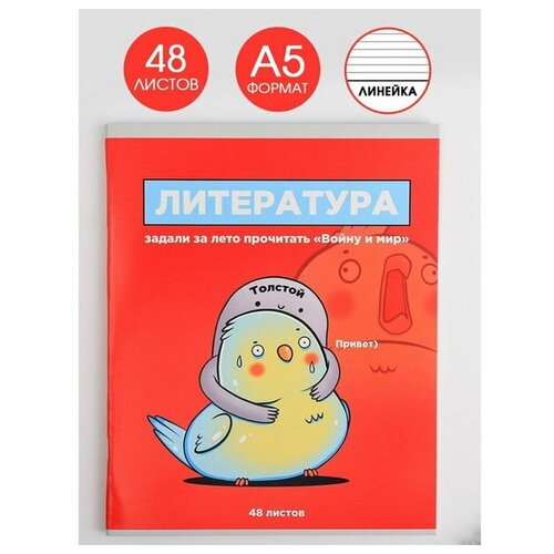 Тетрадь предметная 48 листов, А5, персонажи, со справочными материалами Литература, обложка мелованный картон 230 гр, внутренний блок в линейку 80 гр, белизна 96%